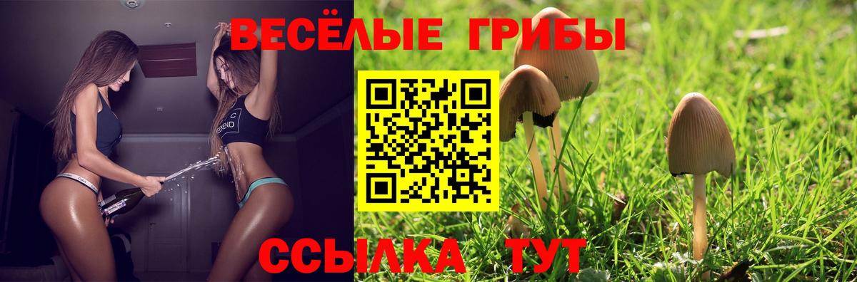 Псилоцибиновые грибы MAGIC MUSHROOMS Нурлат